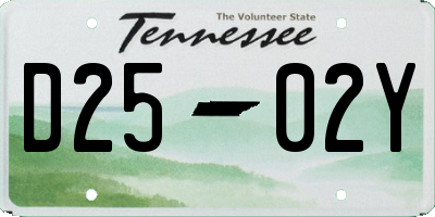 TN license plate D2502Y