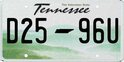 TN license plate D2596U