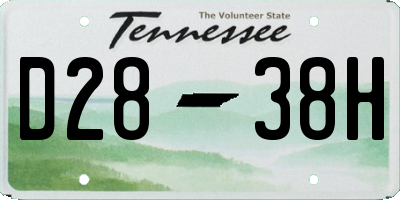 TN license plate D2838H