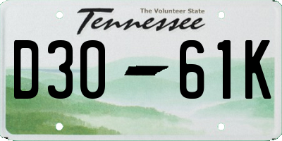 TN license plate D3061K