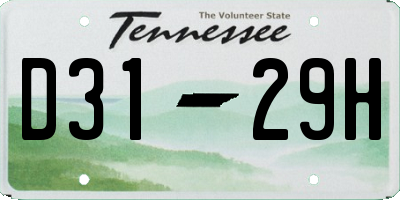 TN license plate D3129H