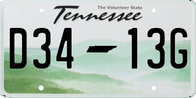 TN license plate D3413G