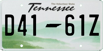 TN license plate D4161Z