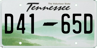TN license plate D4165D