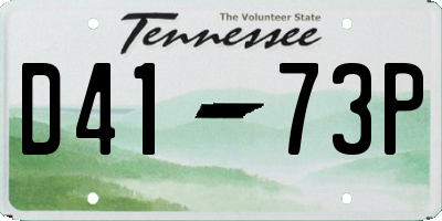 TN license plate D4173P