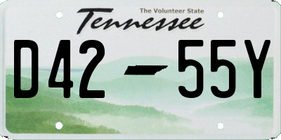 TN license plate D4255Y