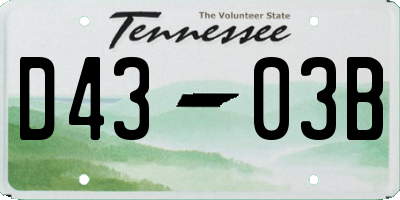TN license plate D4303B