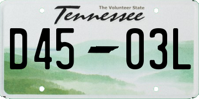 TN license plate D4503L