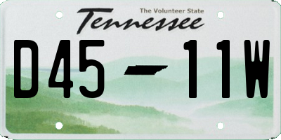 TN license plate D4511W
