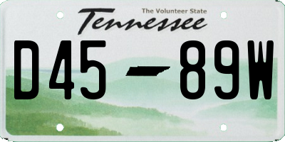 TN license plate D4589W