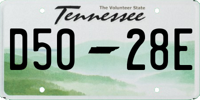 TN license plate D5028E