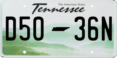 TN license plate D5036N