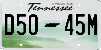 TN license plate D5045M