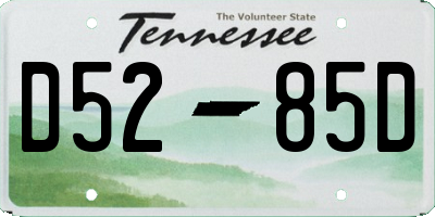 TN license plate D5285D