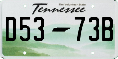 TN license plate D5373B
