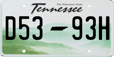 TN license plate D5393H