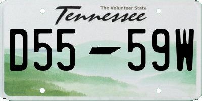 TN license plate D5559W
