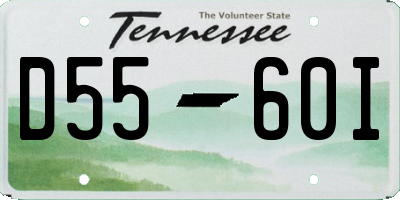 TN license plate D5560I