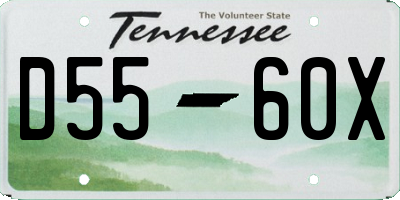 TN license plate D5560X