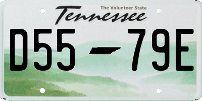 TN license plate D5579E