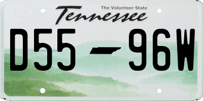 TN license plate D5596W
