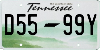 TN license plate D5599Y