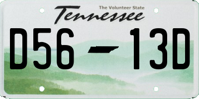 TN license plate D5613D