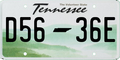 TN license plate D5636E