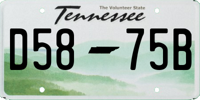 TN license plate D5875B
