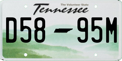 TN license plate D5895M