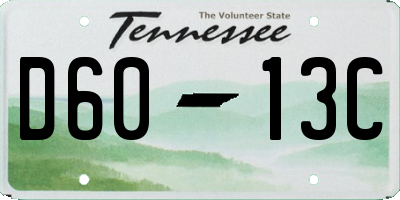 TN license plate D6013C