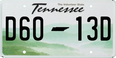 TN license plate D6013D