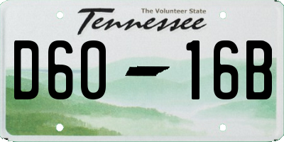 TN license plate D6016B