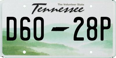 TN license plate D6028P