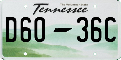 TN license plate D6036C