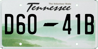 TN license plate D6041B