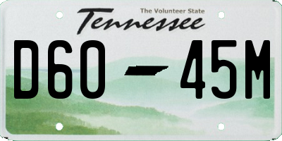 TN license plate D6045M