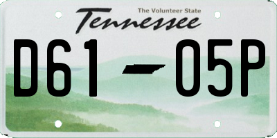 TN license plate D6105P