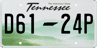 TN license plate D6124P