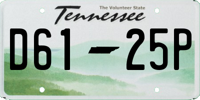 TN license plate D6125P