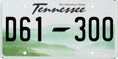 TN license plate D6130O