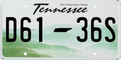 TN license plate D6136S