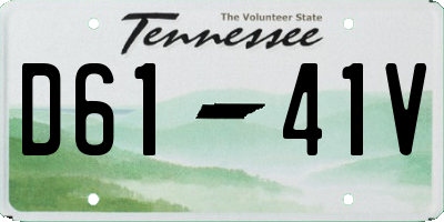 TN license plate D6141V