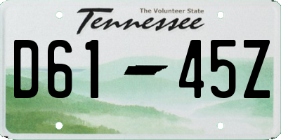 TN license plate D6145Z