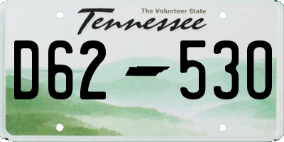 TN license plate D6253O