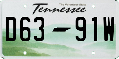 TN license plate D6391W