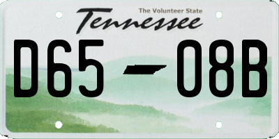 TN license plate D6508B