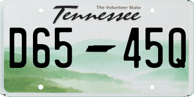 TN license plate D6545Q