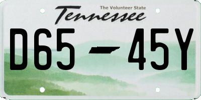 TN license plate D6545Y