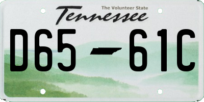TN license plate D6561C